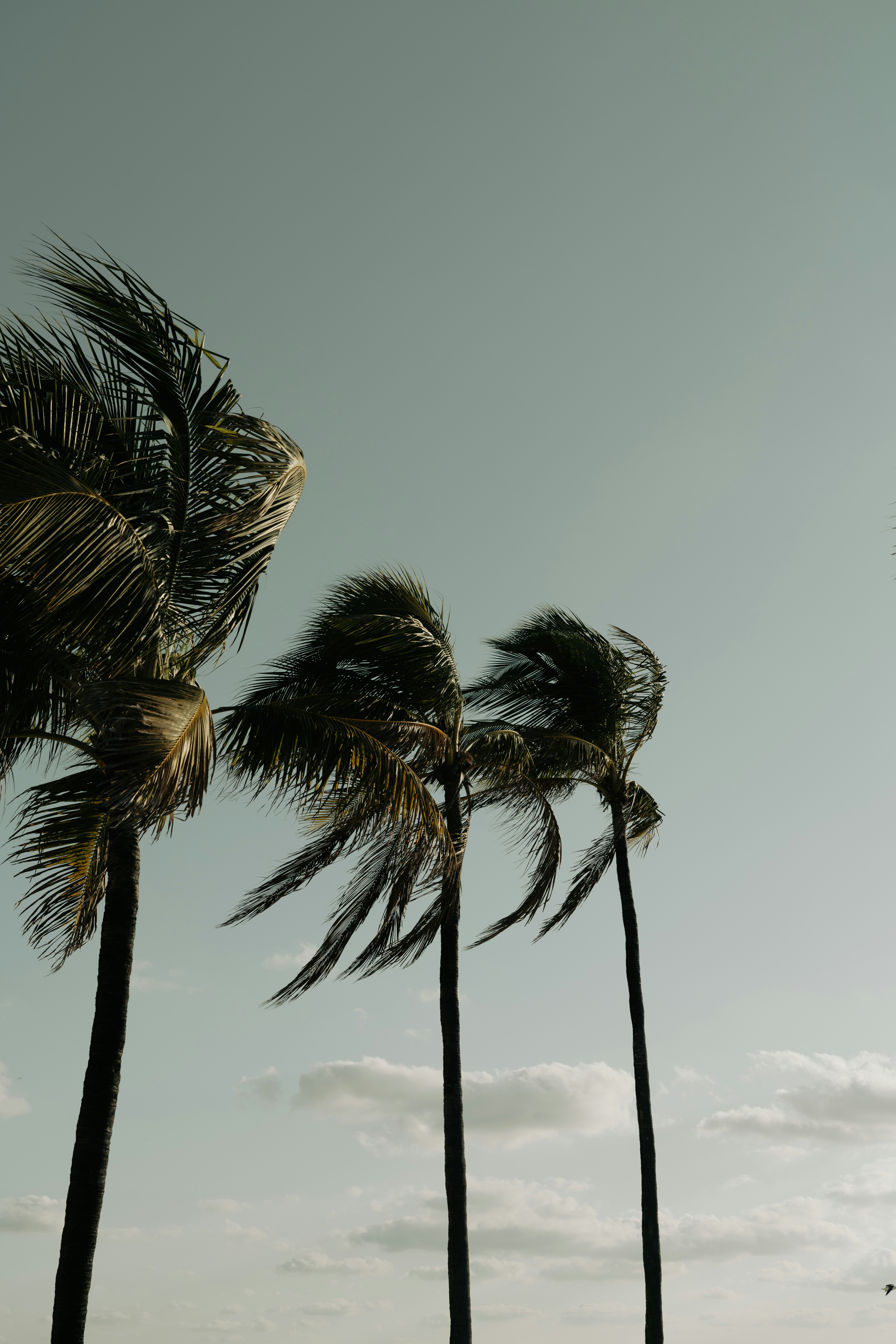 Professional Shutter Installers Sarasota